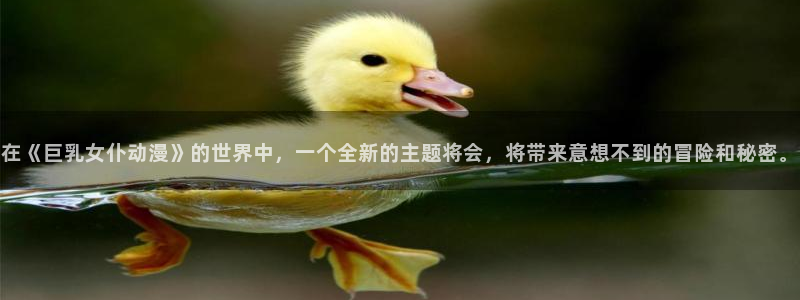 动漫看里番