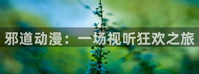 里番动漫在线观看网站