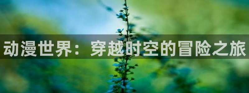 里番动漫网站推荐