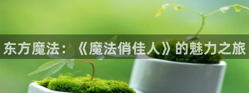 旧里番3d动漫
