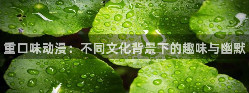 动漫acg里番