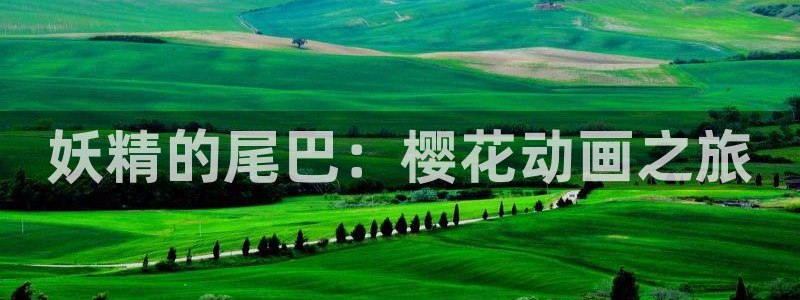 里番h动漫在线观看：妖精的尾巴：樱花动画之旅