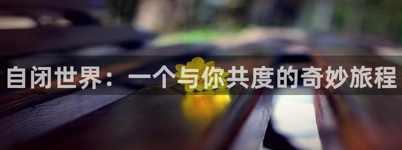 日本动画里番：自闭世界：一个与你共度的奇妙旅程