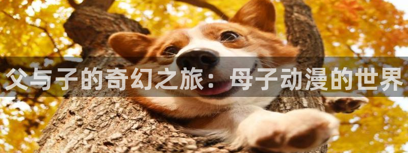 里番动漫本子吧