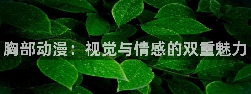 里番动漫总站