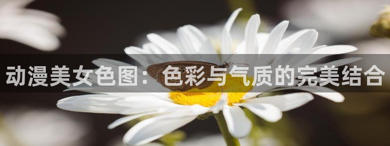 里番漫画排名