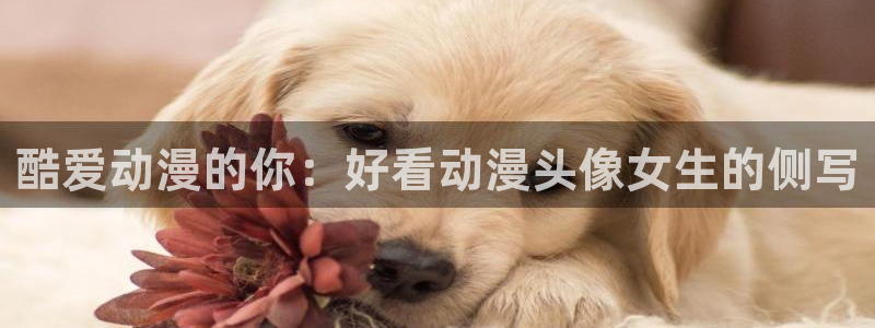 里番动漫伦理