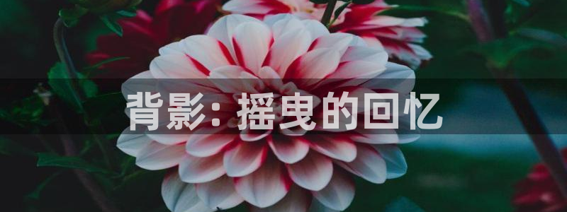 ntr里番动漫