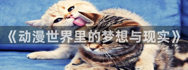 里番动漫在线看免费观看