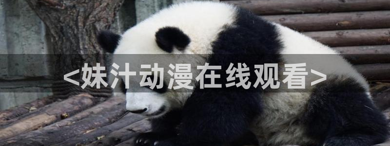 里番ntr动漫