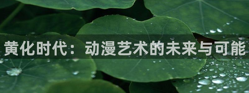 新番里番