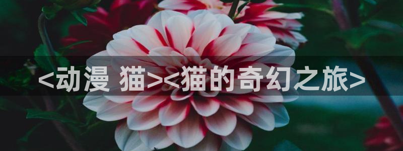 3d里番动漫在线看