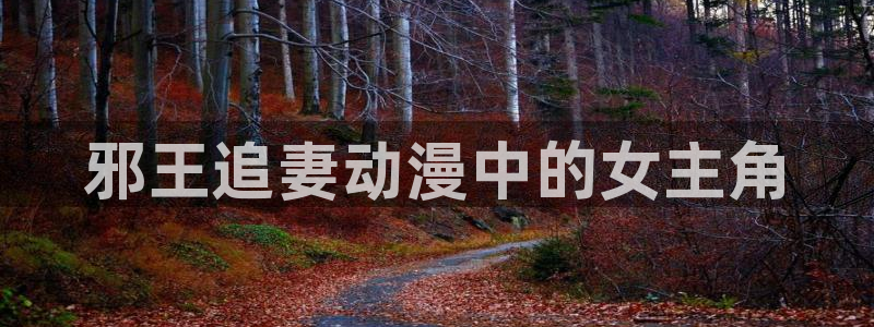 涩里番漫画免费：邪王追妻动漫中的女主角