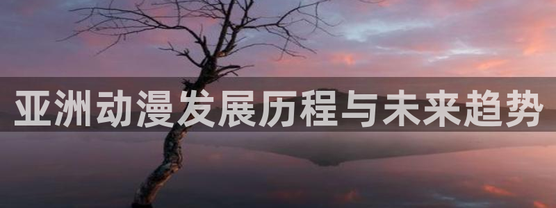 里番.：亚洲动漫发展历程与未来趋势