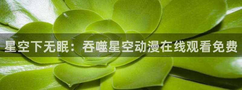 最新里番动漫网站