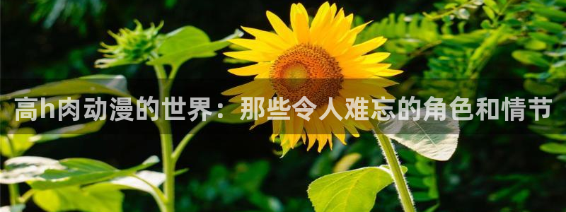 肉番里番动漫