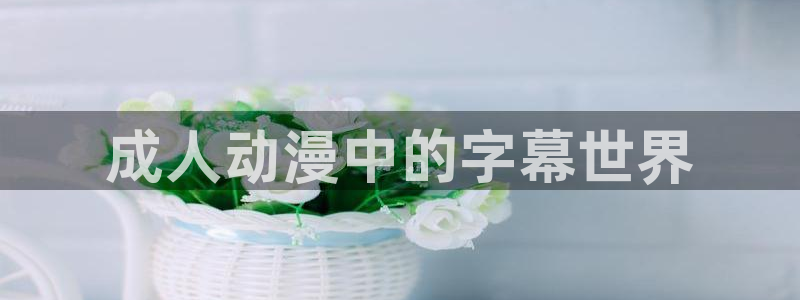 动漫里番网