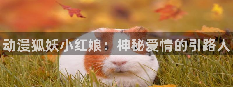 口工漫画里番库