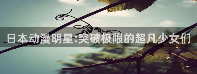 里番动画观看