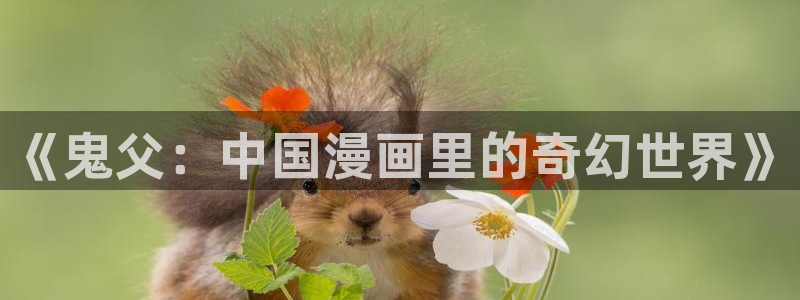 旧里番 动漫