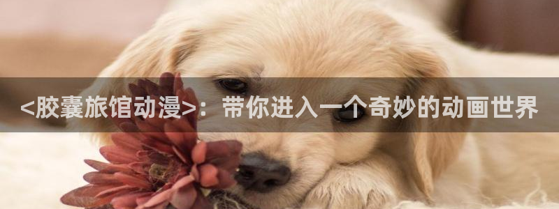 里番漫画免费观看