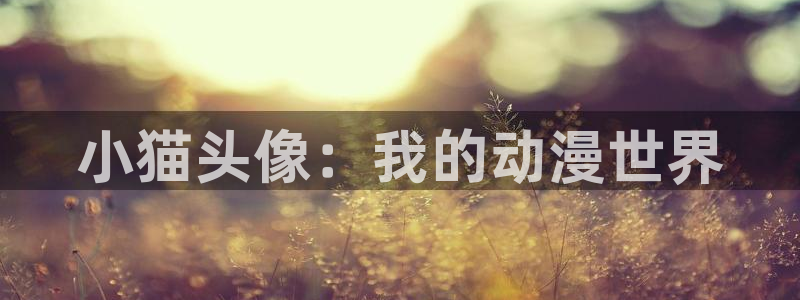 里番动漫资源