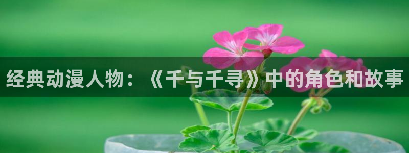 日本里番动漫在线看