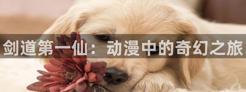里番嗨动漫：剑道第一仙：动漫中的奇幻之旅