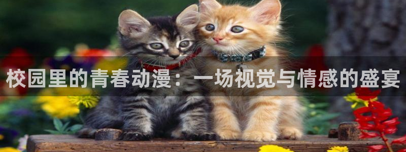 动漫里番本子库：校园里的青春动漫：一场视觉与情感的盛宴