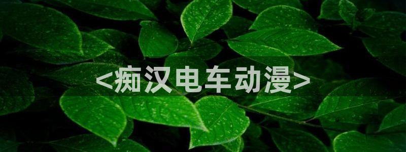 成人动漫里番在线：<痴汉电车动漫>