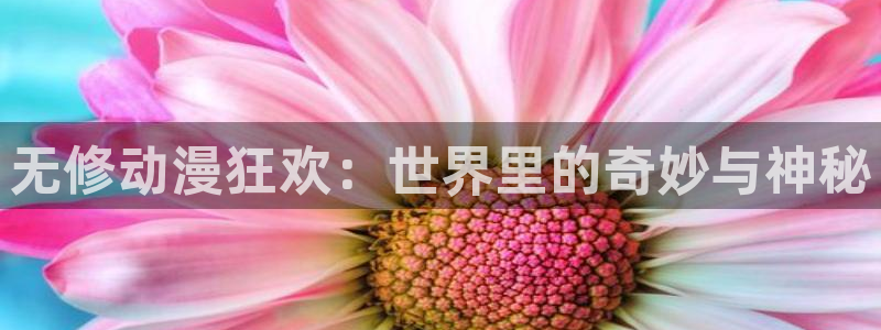 综漫里番小说：无修动漫狂欢：世界里的奇妙与神秘